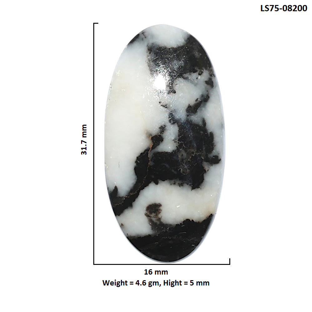 Black Zebra Jasper 16x31.7x5 mm Oval Shape Polished Gemstone LS75-08200