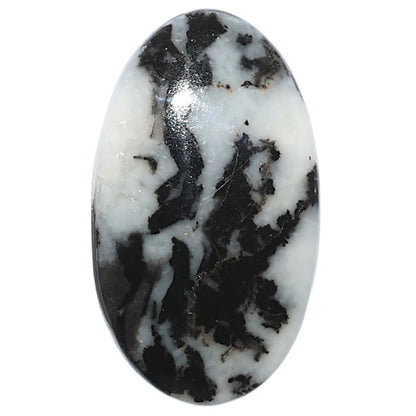 Black Zebra Jasper 18x31.35x5 mm Oval Shape Polished Gemstone LS75-08201