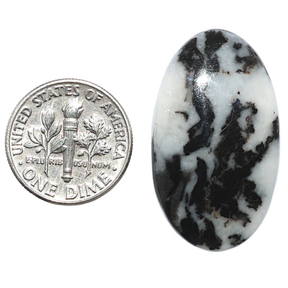 Black Zebra Jasper 18x31.35x5 mm Oval Shape Polished Gemstone LS75-08201