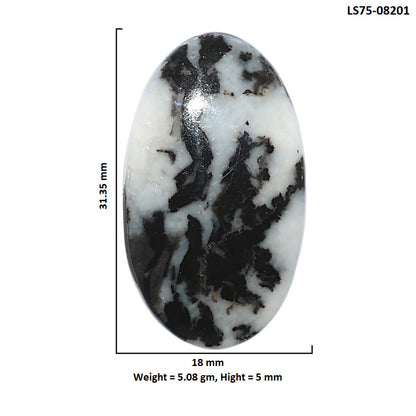 Black Zebra Jasper 18x31.35x5 mm Oval Shape Polished Gemstone LS75-08201