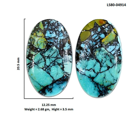 Lucky Charm Tibetan Turquoise Pair 12.25x20.5x3.5 mm Oval Shape Polished Gemstone LS80-04914