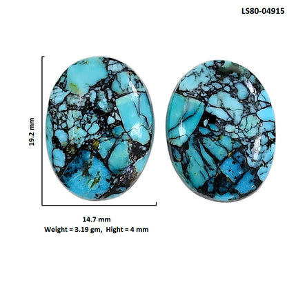 Lucky Charm Tibetan Turquoise Pair 14.7x19.2x4 mm Oval Shape Polished Gemstone LS80-04915
