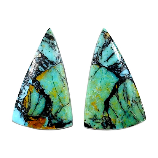 Lucky Charm Tibetan Turquoise Pair 13.4x22.3x3 mm Fancy Shape Polished Gemstone LS80-04930