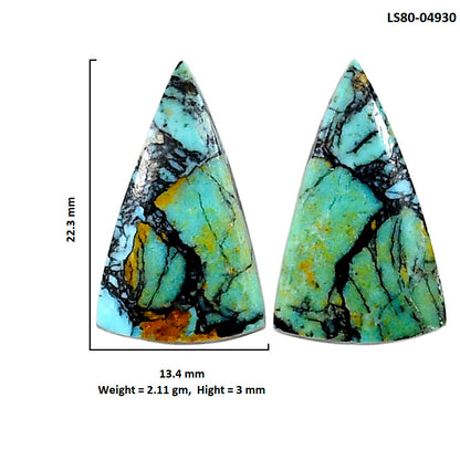 Lucky Charm Tibetan Turquoise Pair 13.4x22.3x3 mm Fancy Shape Polished Gemstone LS80-04930