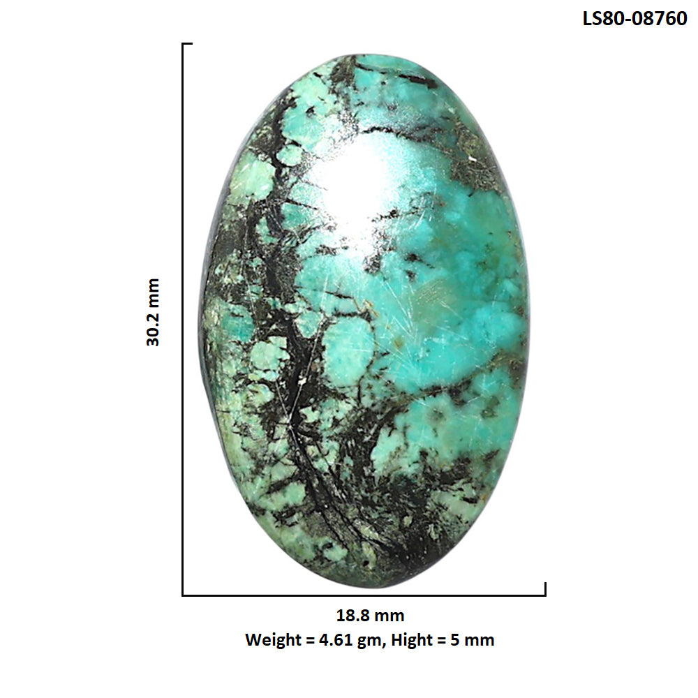Lucky Charm Tibetan Turquoise 18.8x30.2x5 mm Oval Shape Polished Gemstone LS80-08760