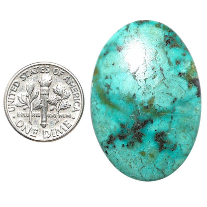 Lucky Charm Tibetan Turquoise 24.45x35.5x5 mm Oval Shape Polished Gemstone LS80-08765