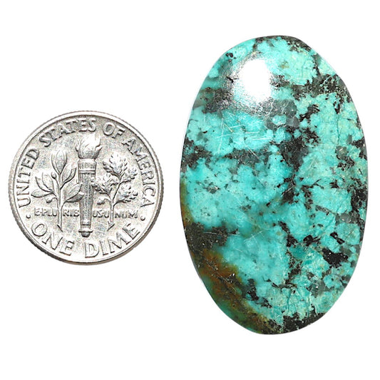 Lucky Charm Tibetan Turquoise 21.75x34.1x4.4 mm Oval Shape Polished Gemstone LS80-08766