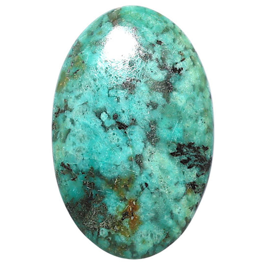 Lucky Charm Tibetan Turquoise 20.8x32.25x4.5 mm Oval Shape Polished Gemstone LS80-08772