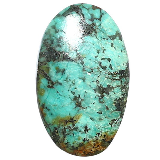 Lucky Charm Tibetan Turquoise 16.6x27.3x4.7 mm Oval Shape Polished Gemstone LS80-08788