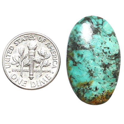 Lucky Charm Tibetan Turquoise 16.6x27.3x4.7 mm Oval Shape Polished Gemstone LS80-08788