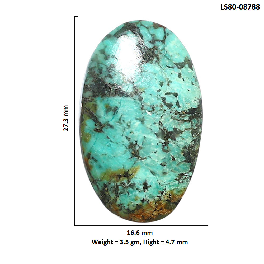 Lucky Charm Tibetan Turquoise 16.6x27.3x4.7 mm Oval Shape Polished Gemstone LS80-08788