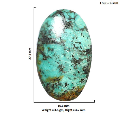 Lucky Charm Tibetan Turquoise 16.6x27.3x4.7 mm Oval Shape Polished Gemstone LS80-08788