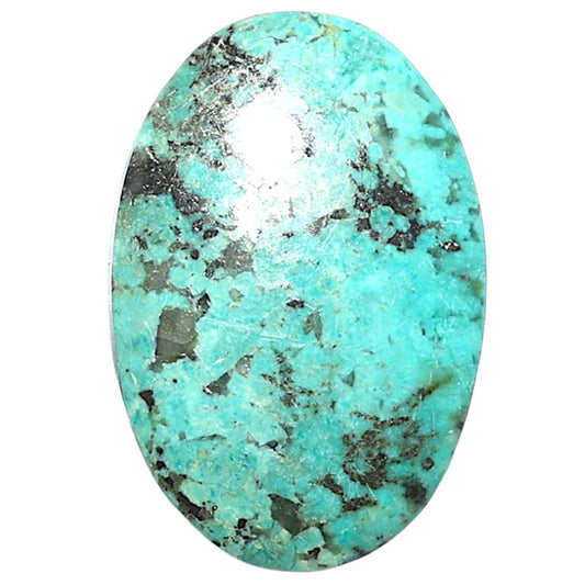 Lucky Charm Tibetan Turquoise 19.8x29.4x5 mm Oval Shape Polished Gemstone LS80-08790