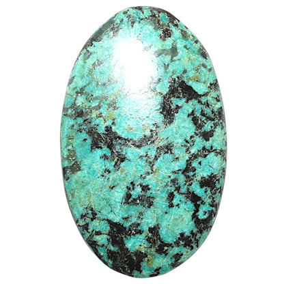 Lucky Charm Tibetan Turquoise 20x32.5x4.5 mm Oval Shape Polished Gemstone LS80-08791
