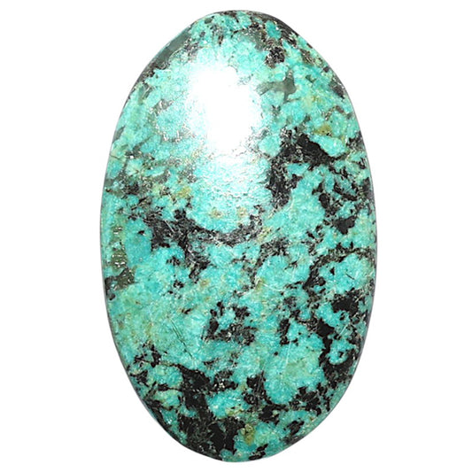 Lucky Charm Tibetan Turquoise 20x32.5x4.5 mm Oval Shape Polished Gemstone LS80-08791