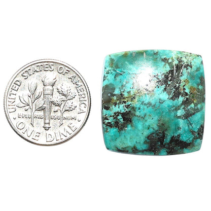 Lucky Charm Tibetan Turquoise 21.25x21.65x5.5 mm Cushion Shape Polished Gemstone LS80-08794