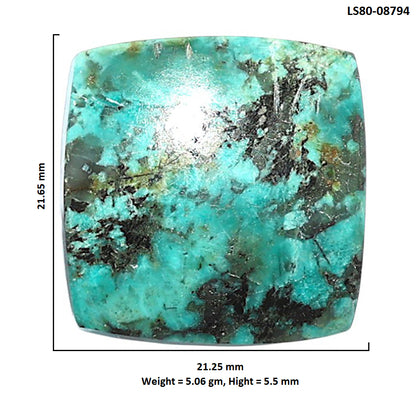 Lucky Charm Tibetan Turquoise 21.25x21.65x5.5 mm Cushion Shape Polished Gemstone LS80-08794