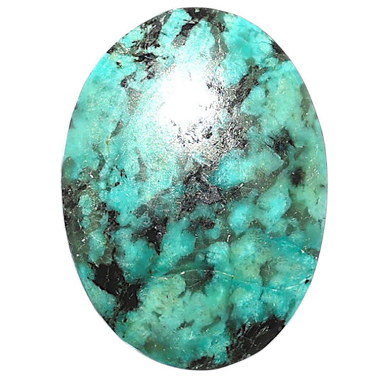 Lucky Charm Tibetan Turquoise 19.9x27x5 mm Oval Shape Polished Gemstone LS80-08795