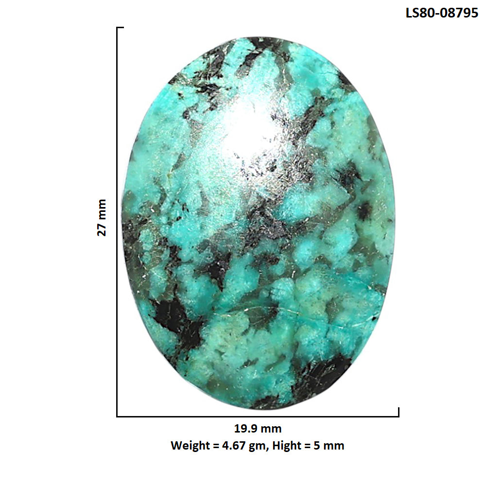 Lucky Charm Tibetan Turquoise 19.9x27x5 mm Oval Shape Polished Gemstone LS80-08795