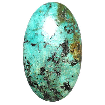 Lucky Charm Tibetan Turquoise 20.5x24.6x5 mm Oval Shape Polished Gemstone LS80-08804