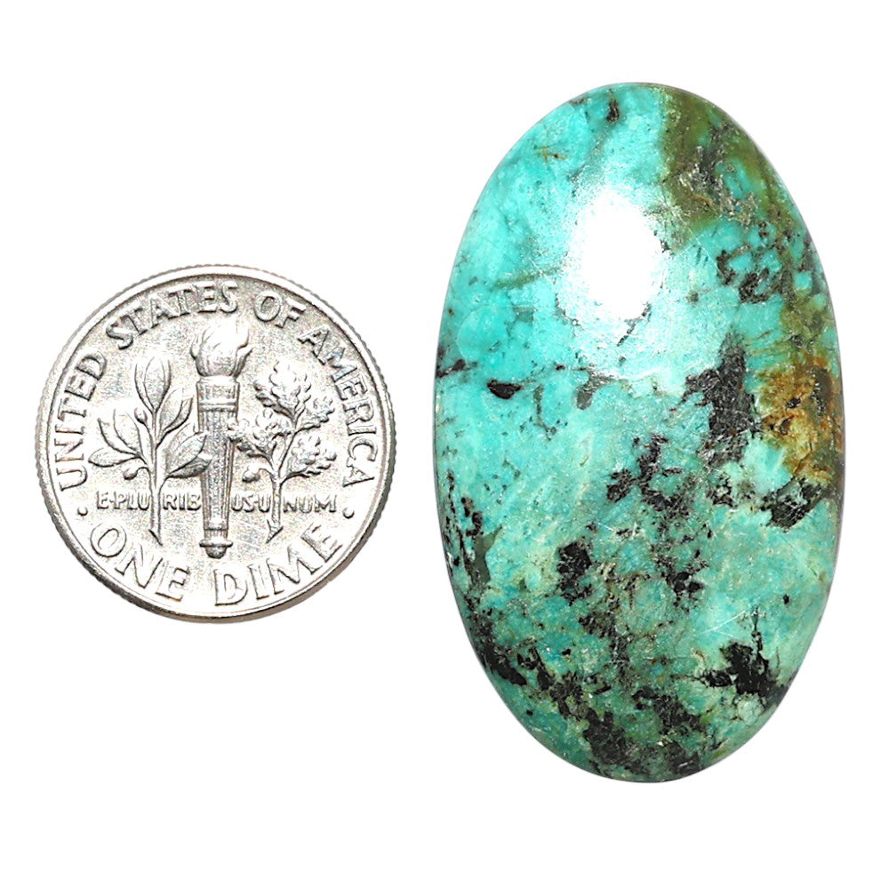 Lucky Charm Tibetan Turquoise 20.5x24.6x5 mm Oval Shape Polished Gemstone LS80-08804