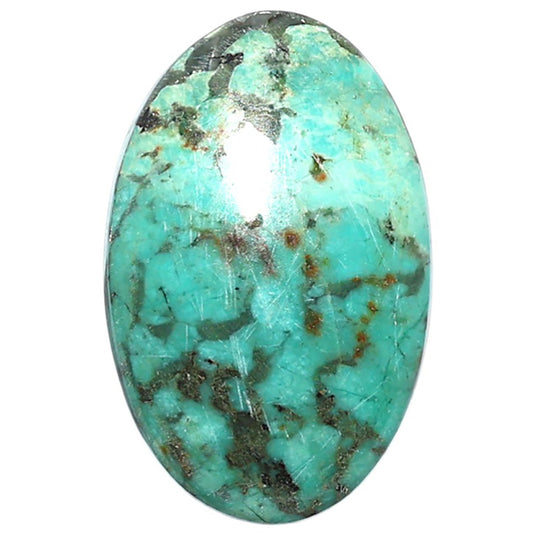 Lucky Charm Tibetan Turquoise 18.5x29x5.5 mm Oval Shape Polished Gemstone LS80-08805