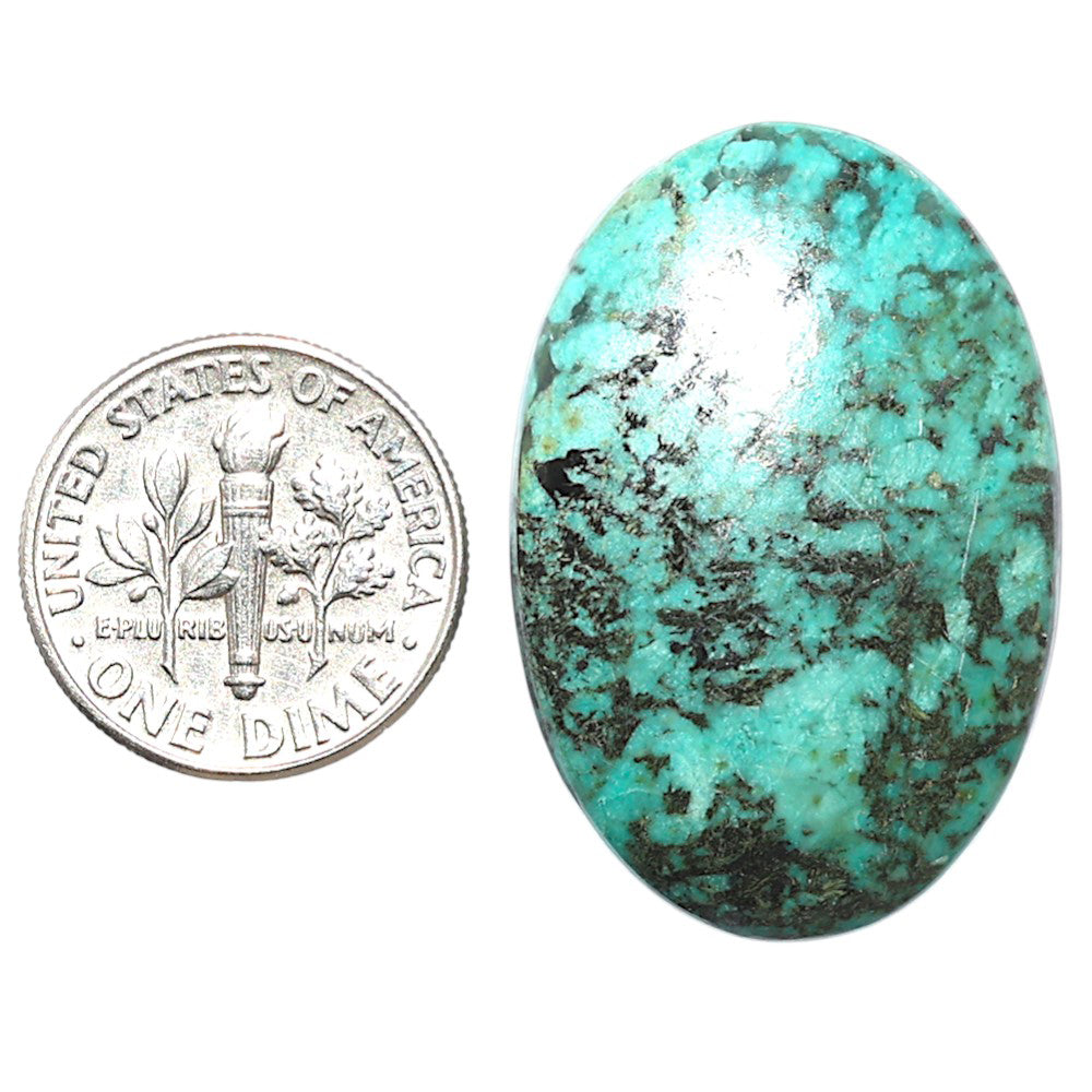 Lucky Charm Tibetan Turquoise 22x32.5x5 mm Oval Shape Polished Gemstone LS80-08806