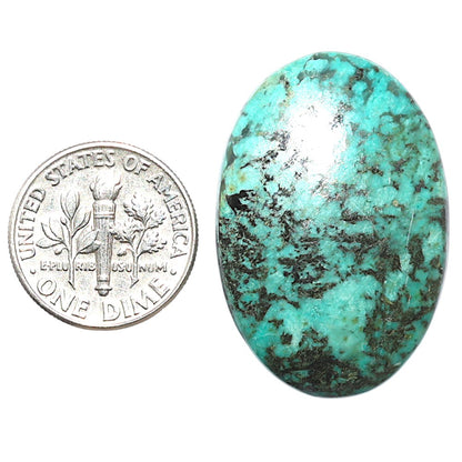 Lucky Charm Tibetan Turquoise 22x32.5x5 mm Oval Shape Polished Gemstone LS80-08806