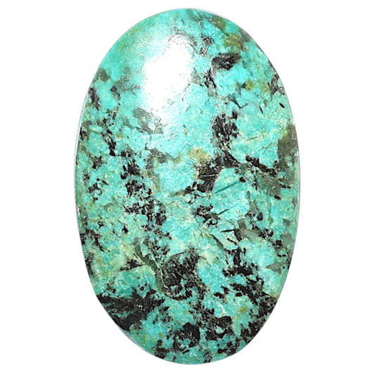 Lucky Charm Tibetan Turquoise 19.7x31x4.3 mm Oval Shape Polished Gemstone LS80-08807