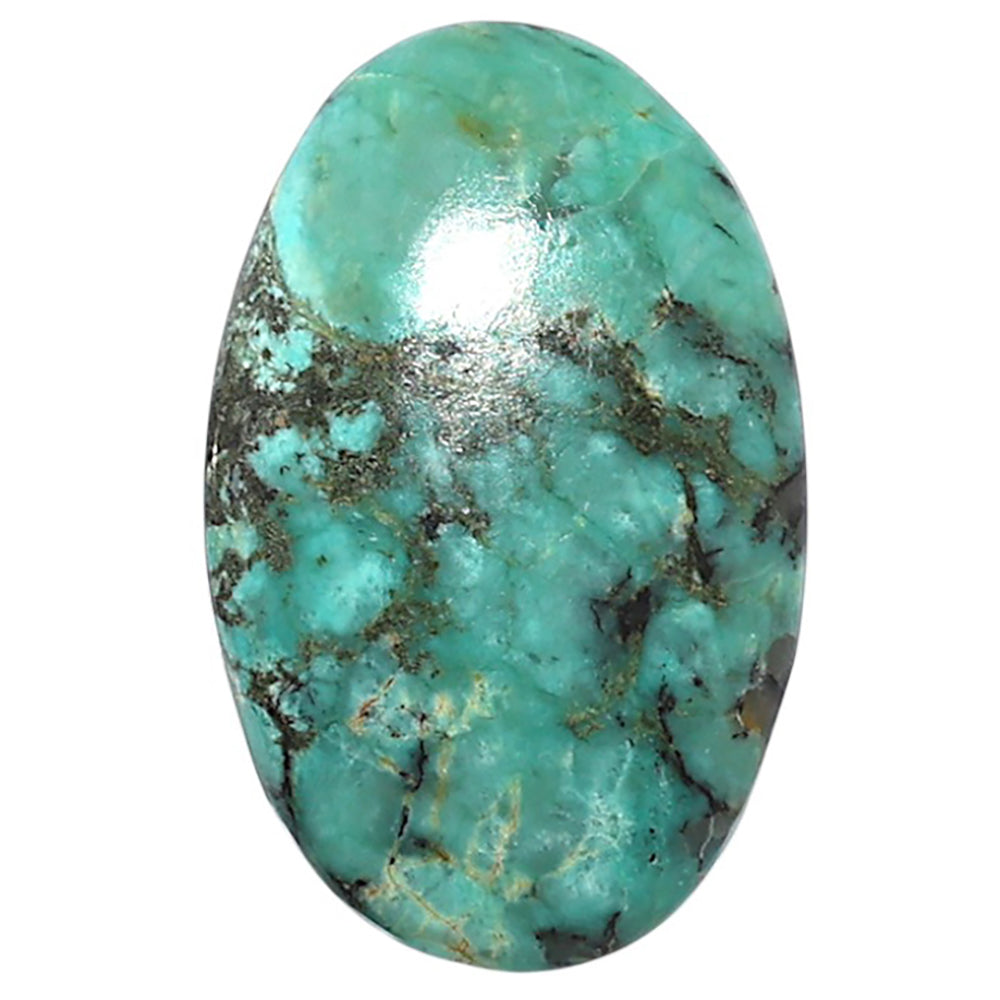 Lucky Charm Tibetan Turquoise 16.4x25.75x5.5 mm Oval Shape Polished Gemstone LS80-08809