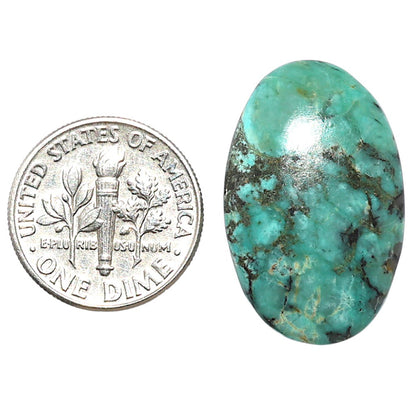 Lucky Charm Tibetan Turquoise 16.4x25.75x5.5 mm Oval Shape Polished Gemstone LS80-08809