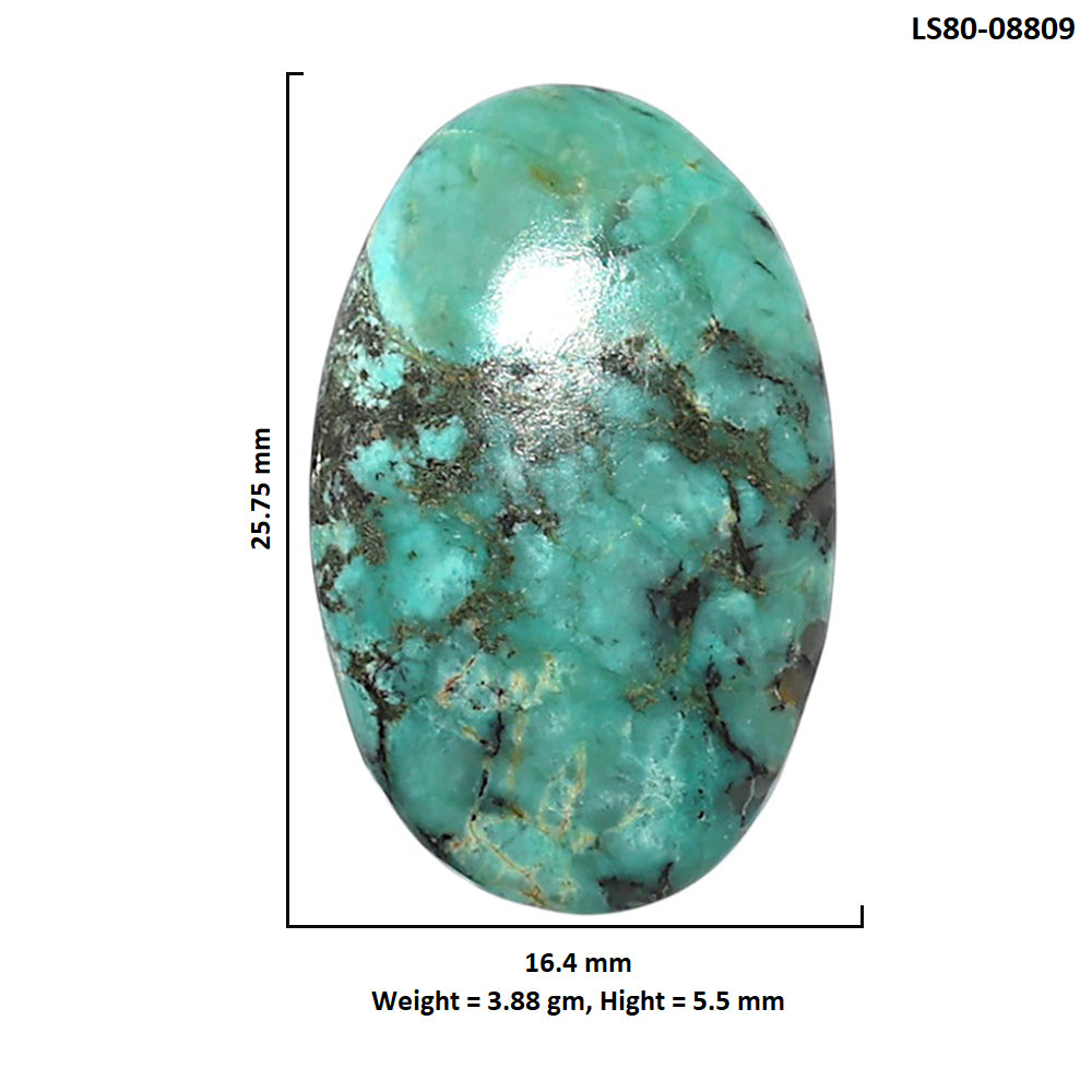 Lucky Charm Tibetan Turquoise 16.4x25.75x5.5 mm Oval Shape Polished Gemstone LS80-08809