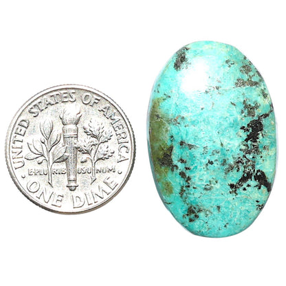 Lucky Charm Tibetan Turquoise 26.14x17.8x4.7 mm Oval Shape Polished Gemstone LS80-08810