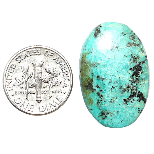 Lucky Charm Tibetan Turquoise 26.14x17.8x4.7 mm Oval Shape Polished Gemstone LS80-08810