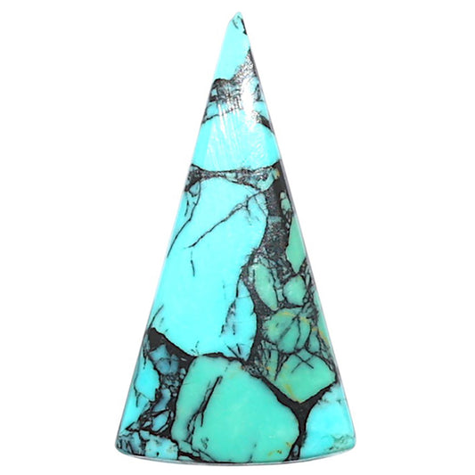 Lucky Charm Tibetan Turquoise 14.2x26.8x3 mm Fancy Shape Polished Gemstone LS80-09013