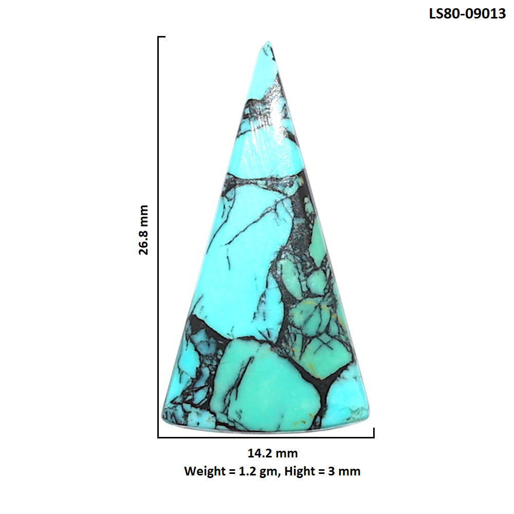 Lucky Charm Tibetan Turquoise 14.2x26.8x3 mm Fancy Shape Polished Gemstone LS80-09013