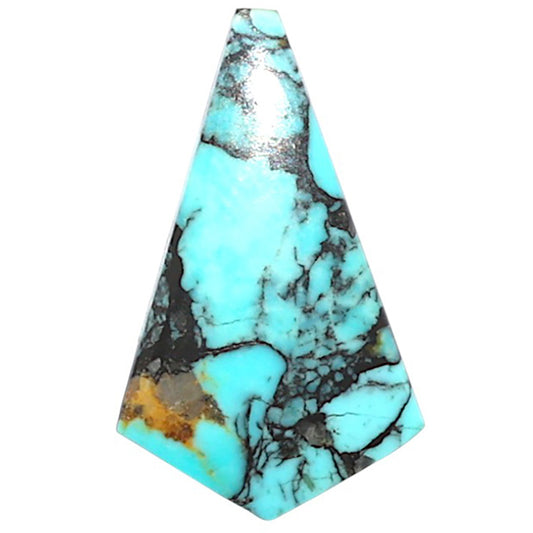 Lucky Charm Tibetan Turquoise 13x21.5x3 mm Fancy Shape Polished Gemstone LS80-09016
