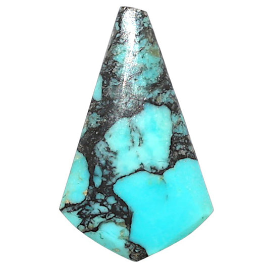 Lucky Charm Tibetan Turquoise 13x21.5x3.5 mm Fancy Shape Polished Gemstone LS80-09026