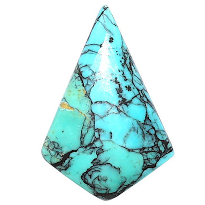 Lucky Charm Tibetan Turquoise 14.8x21.9x3.5 mm Fancy Shape Polished Gemstone LS80-09028