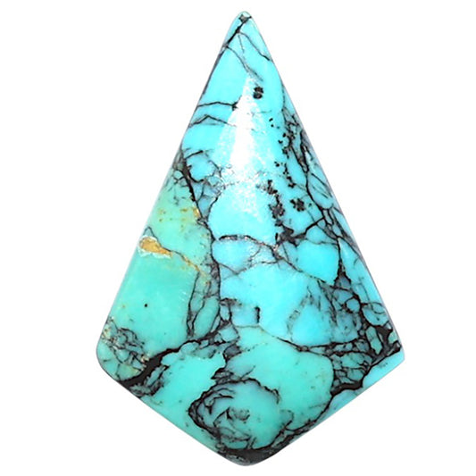 Lucky Charm Tibetan Turquoise 14.8x21.9x3.5 mm Fancy Shape Polished Gemstone LS80-09028