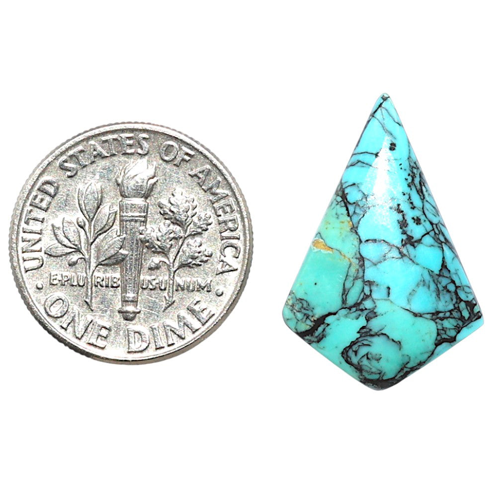 Lucky Charm Tibetan Turquoise 14.8x21.9x3.5 mm Fancy Shape Polished Gemstone LS80-09028