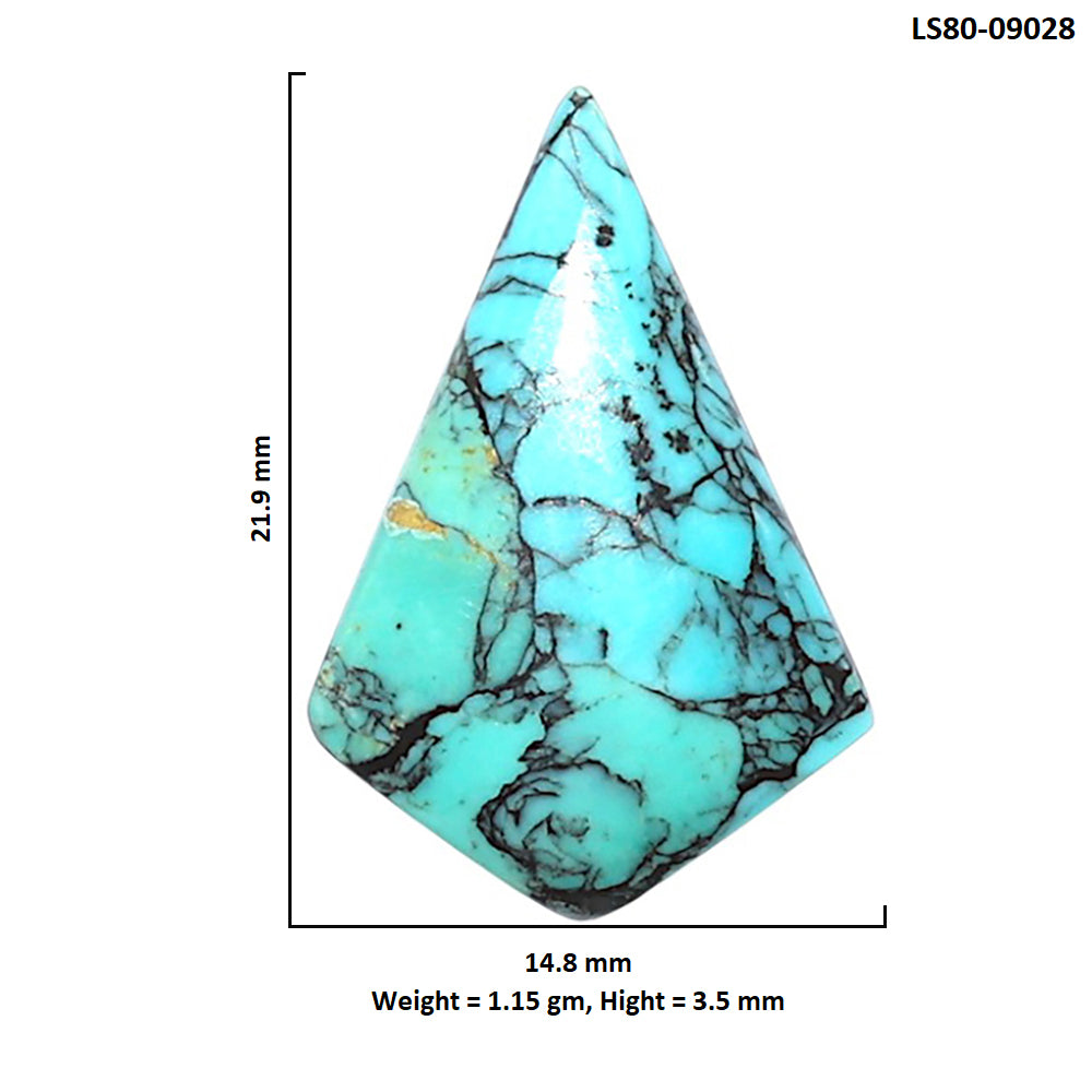 Lucky Charm Tibetan Turquoise 14.8x21.9x3.5 mm Fancy Shape Polished Gemstone LS80-09028