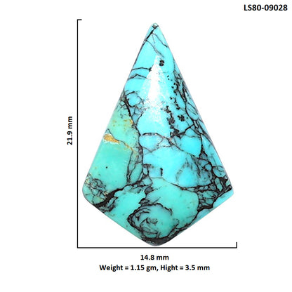 Lucky Charm Tibetan Turquoise 14.8x21.9x3.5 mm Fancy Shape Polished Gemstone LS80-09028