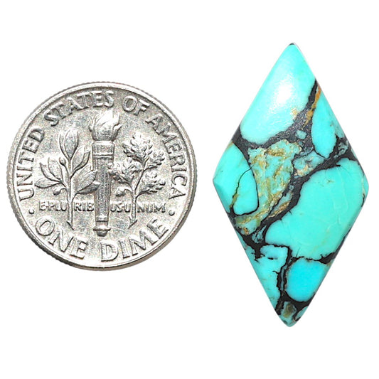 Lucky Charm Tibetan Turquoise 14.7x26.85x3 mm Fancy Shape Polished Gemstone LS80-09029