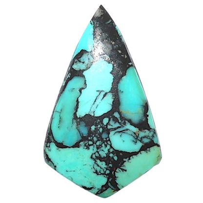 Lucky Charm Tibetan Turquoise 13.3x21.85x2.7 mm Fancy Shape Polished Gemstone LS80-09031