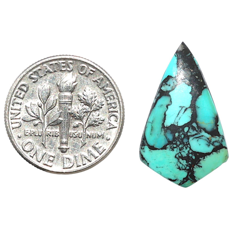 Lucky Charm Tibetan Turquoise 13.3x21.85x2.7 mm Fancy Shape Polished Gemstone LS80-09031
