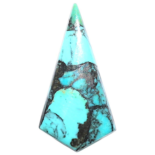 Lucky Charm Tibetan Turquoise 13.3x25.45x3.5 mm Fancy Shape Polished Gemstone LS80-09039