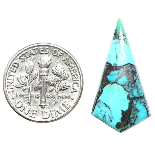Lucky Charm Tibetan Turquoise 13.3x25.45x3.5 mm Fancy Shape Polished Gemstone LS80-09039
