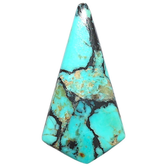 Lucky Charm Tibetan Turquoise 13x25.1x2.5 mm Fancy Shape Polished Gemstone LS80-09040