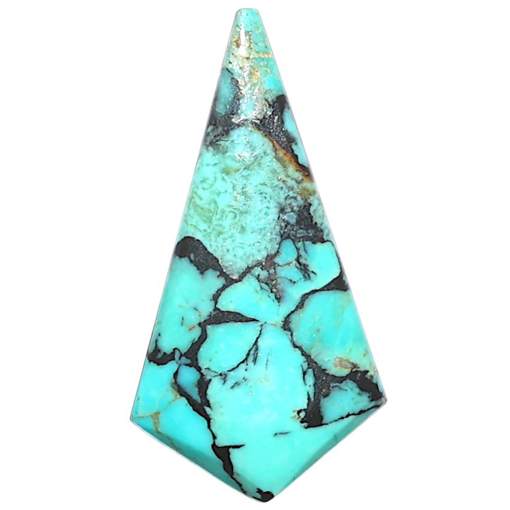 Lucky Charm Tibetan Turquoise 14.7x28.2x3.5 mm Fancy Shape Polished Gemstone LS80-09048
